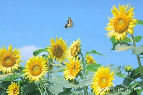 һ·�ж�����������ϧ (6)