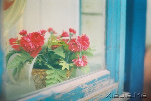 晚安心语:与其诅咒黑暗,不如点亮灯火 (1)