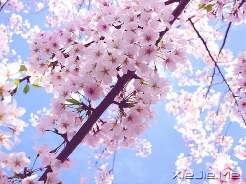 �������Ը���Ϊ�Լ���̫�� (7)
