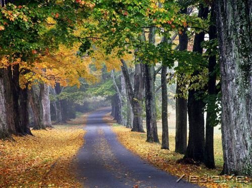 ��Ҫ�İ����޷Ǿ�����һֱ�� (1)