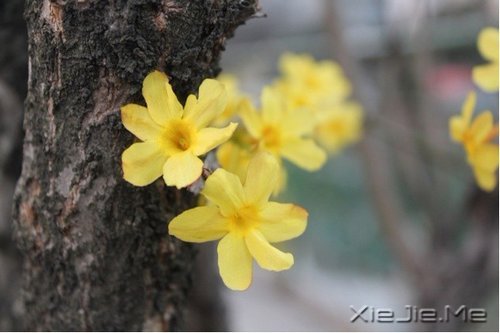早安心语:一念放下,万般自在 (10)