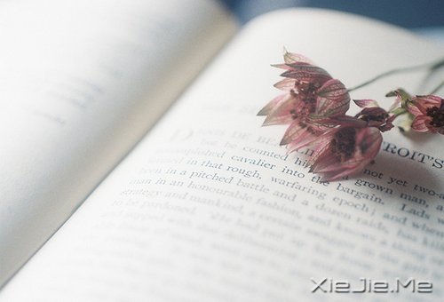 早安心语:有些谎言,美丽的让你不忍揭穿 (5)