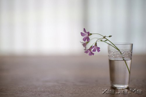 早安心语:安静,也是强大的力量 (6)