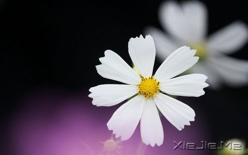 �簲������������������������������ (5)