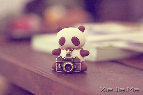 ���������ҪΪ�ɵı��ˣ��˷��µ����� (2)