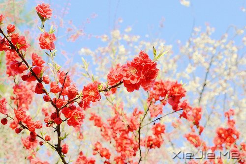 常常观自心,便会更智慧 (5)