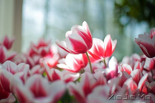 д�˽����ʣ�������һ�� (4)