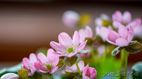 ���֣�Ҫ������ʮ���� (10)