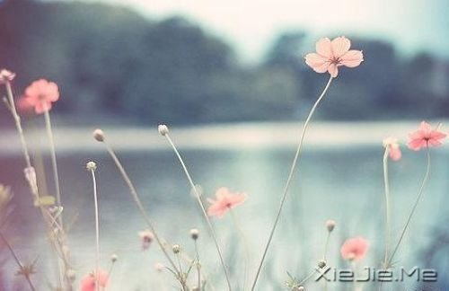 �ÿ��Ļ���ͼƬ (2)