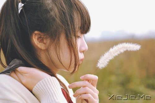 我始终没变,变的只是心情 (1)