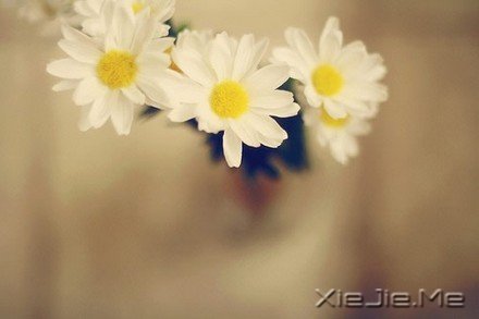 ���ܵĿཫ�������·