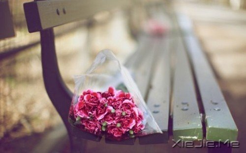 5pxSw 5pxSw